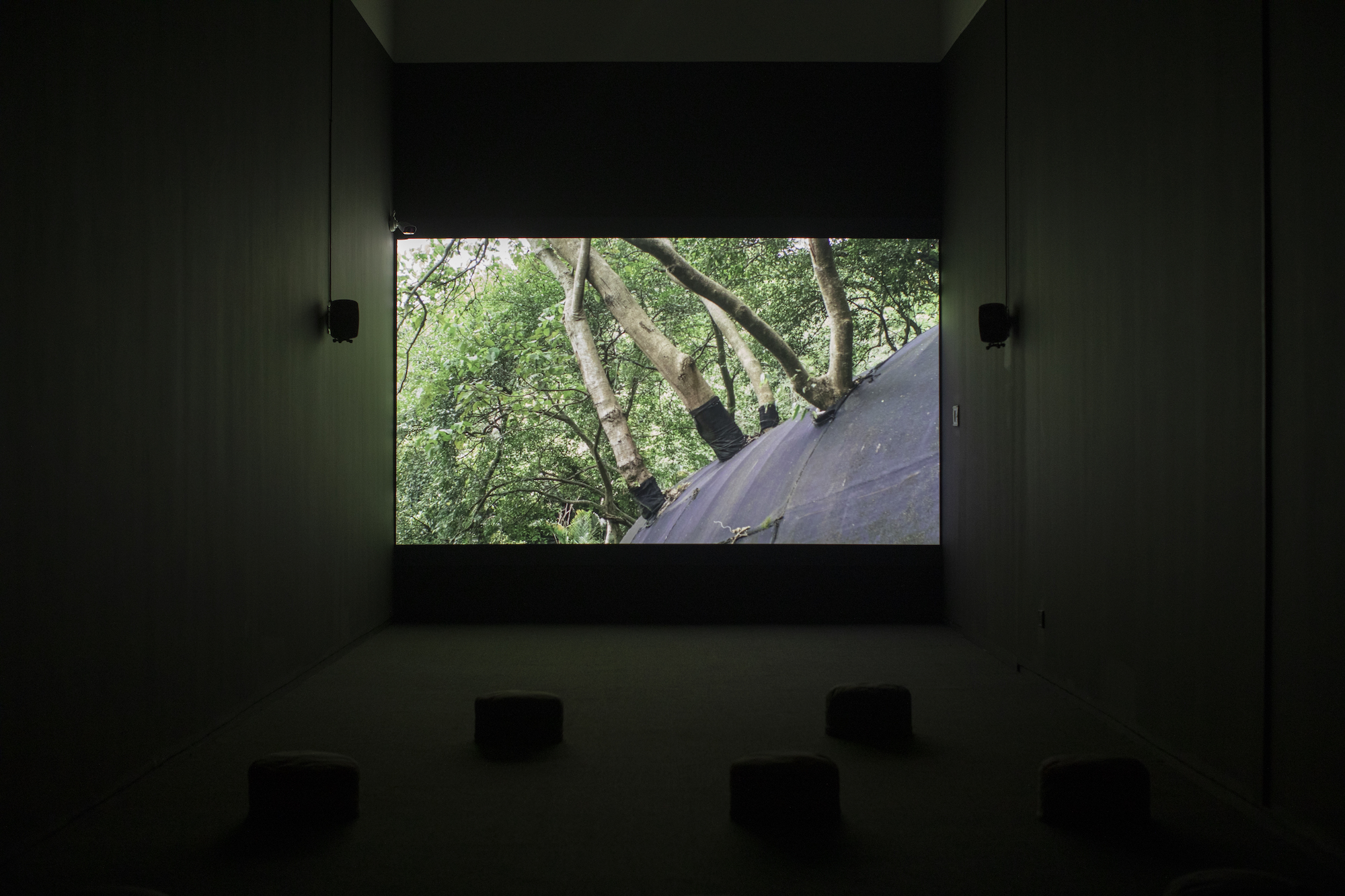 “直行与迂回”展现现场，©上海当代艺术博物馆。